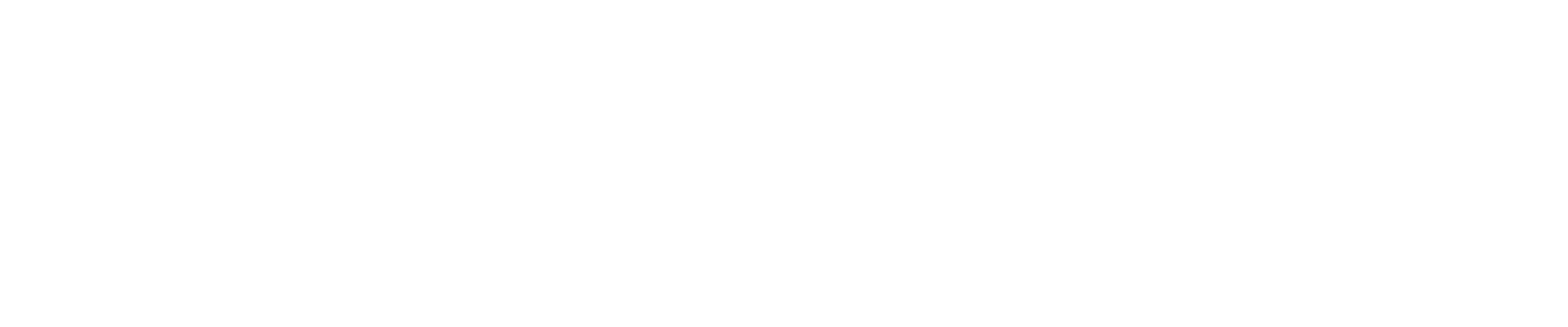 Lufthansa Industry Solutions